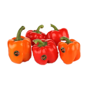  فلفل دلمه ای قرمز